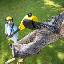 Best Weed Control  in Washington, MO