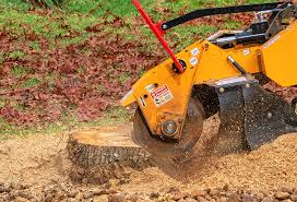 Best Tree Maintenance Programs  in Washington, MO