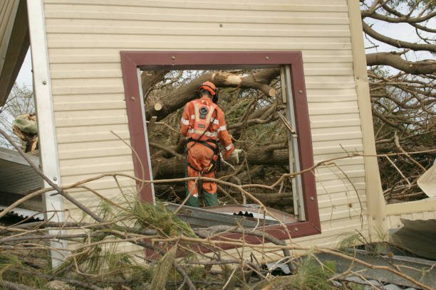 Best Commercial Tree Services  in Washington, MO